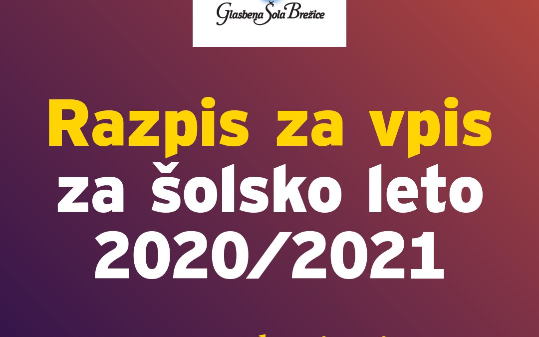 Glasbena šola Brežice vabi k vpisu