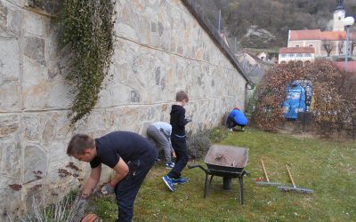 DELA NA VRTU, ZELIŠČNEM IN ZELENJAVNEM