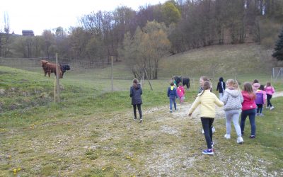 SPREHOD PO PIŠECAH