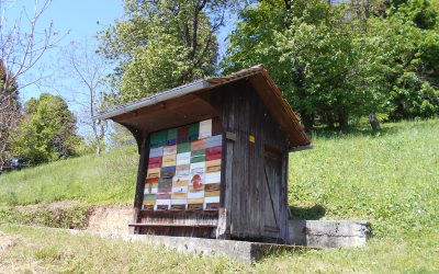 ZELIŠČNE GREDICE PRI ČEBELNJAKU