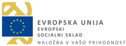 Sodelovanje vrtca v projektu MIZŠ, sofinanciranega s sredstvi evropskega socialnega sklada, 1. zaposlitev