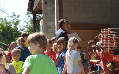 OJOJ, KAJ VSE IMAJO PRI GRMOVŠKOVIH!