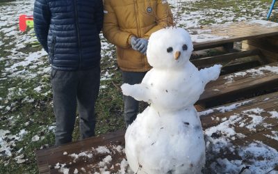 ZAPADEL JE PRVI SNEG