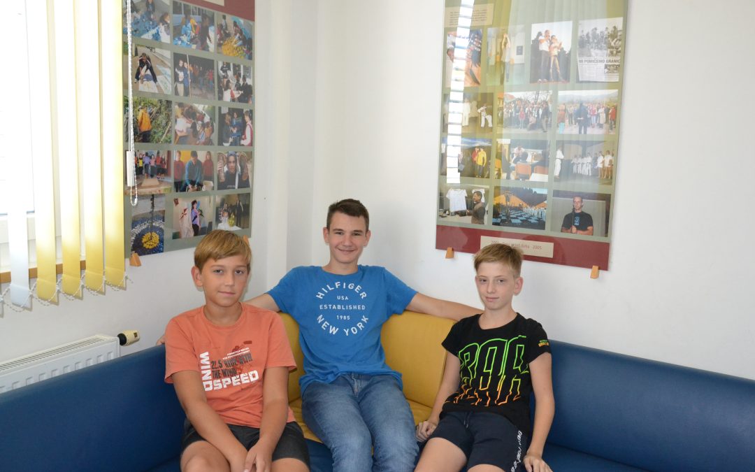 MALE SIVE CELICE – 1. KROG