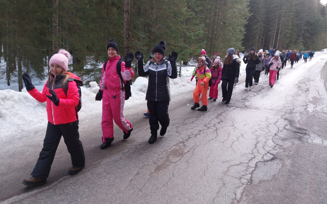 POKLJUKA, PRISPELI!