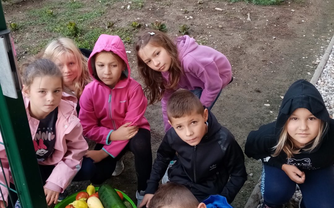 ŠE VEDNO SVEŽA ZELENJAVA S ŠOLSKEGA VRTA